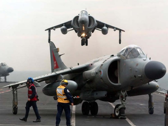 Harrier