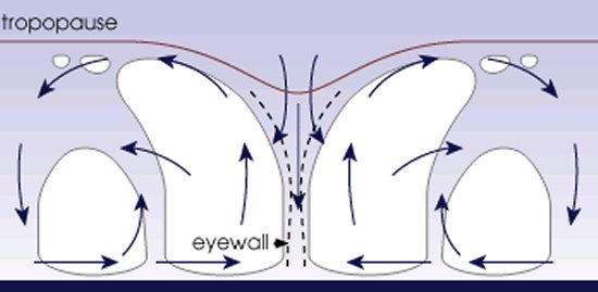 Cycle of circulating air releasing heat and condensation to create a tropical cyclone