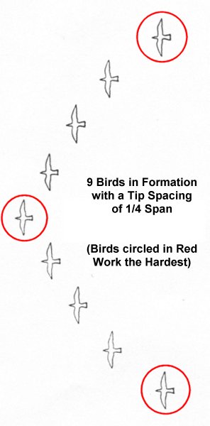 An optimal V-formation