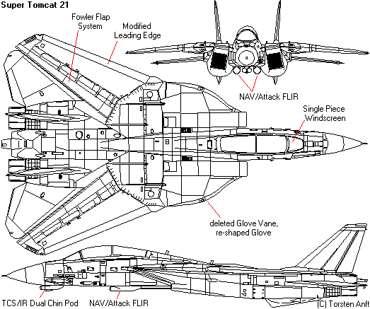 Super Tomcat 21 proposal