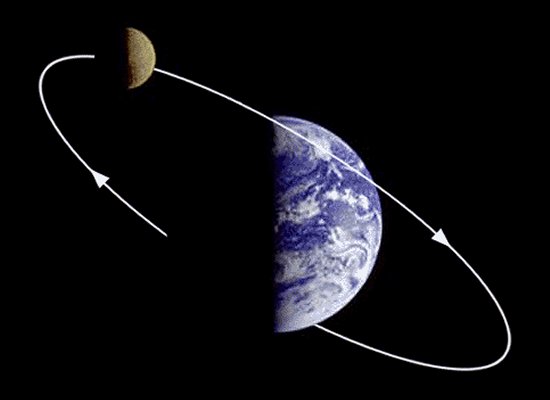 why does earth moon orbit