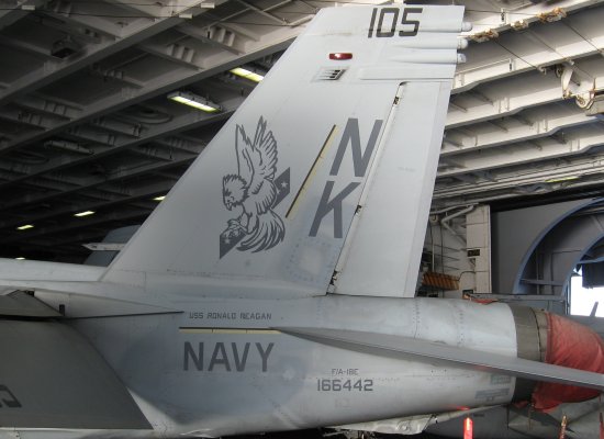 F-18E of VFA-22 in CVW-14 aboard the USS Ronald Reagan showing its tail code